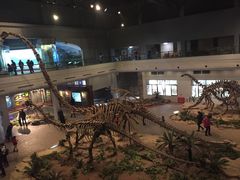 -自贡恐龙博物馆