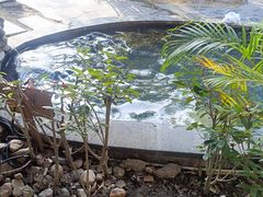 -福州贵安·温泉世界