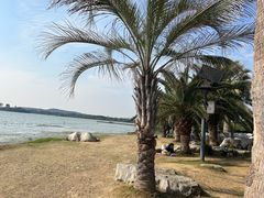 -渤公岛生态公园