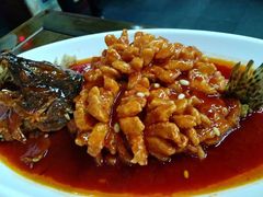 -协和菜馆(凤凰街店)