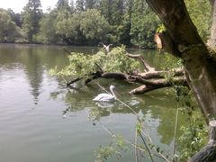 -上海动物园(地铁站)