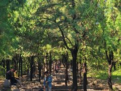 -青州市云门山风景区