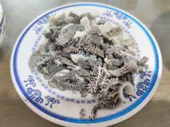 -老爆肚满五香烧牛羊肉