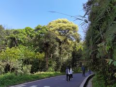 -中国大熊猫保护研究中心雅安碧峰峡基地