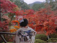 -醍醐寺
