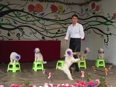 -南戴河国际娱乐中心