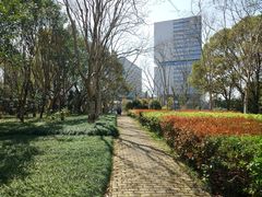 -上海中医药大学附属曙光医院(东部)