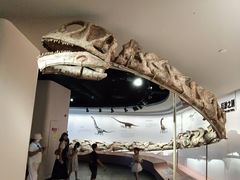 -自贡恐龙博物馆