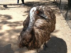 -可伦宾野生动物保护区