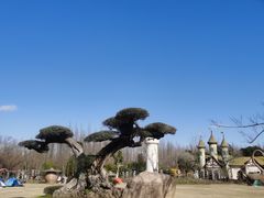 -东平国家森林公园