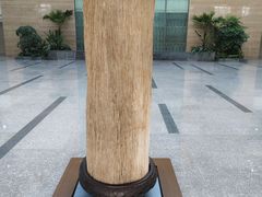 -同济大学(嘉定校区)