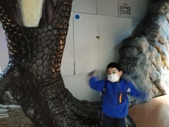 -国家自然博物馆