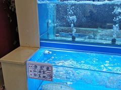 水产区-清雅轩·清真菜·传统菜•融合菜(滑翔店)