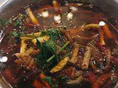 -高坎一品甲鱼庄(两河店)