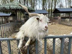 -沈阳森林动物园