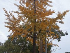 -四川大学(望江校区)