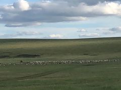 -莫日格勒旅游景区
