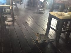 -自然餐厅(Phuket)