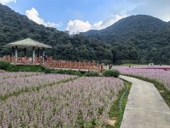 -广州市石门国家森林公园