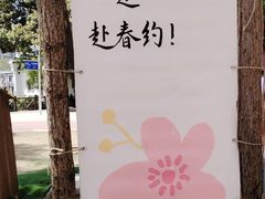 -西苑公园
