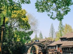 -乌镇西栅景区