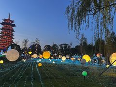 -洋湖国家湿地公园