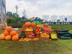 -中国天府农业博览园