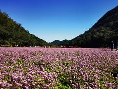 -广州市石门国家森林公园