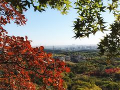 -北宫国家森林公园