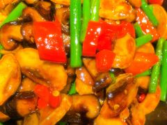 -金蝉食府(维吉奥广场店)