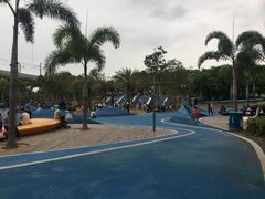 -宝安西湾红树林湿地公园