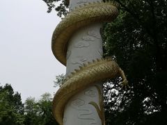 -中国扬子鳄村