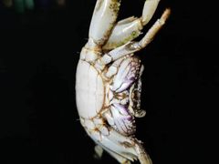 -仙本那渔人码头餐厅