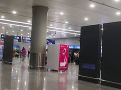 -上海浦东国际机场-T2航站楼