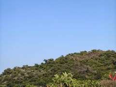 -野狸岛
