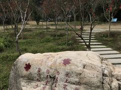 -广州市帽峰山景区