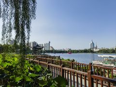 -莲花池公园