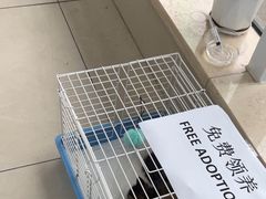 -北京观赏动物医院·24小时大型综合·猫专科·异宠专科