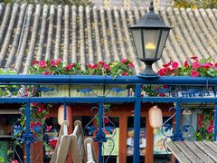 -Sirena海妖日咖夜酒