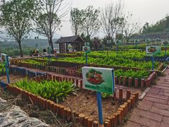 -西部长青自然儿童乐园