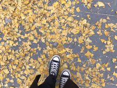 -四川大学(华西校区)