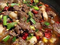 -树厨贵州菜(花果园购物中心店)