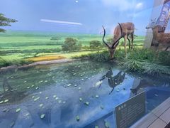 -国家自然博物馆