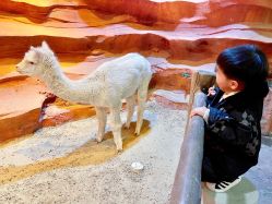 -酷嗒动物文化乐园(cutezoo西溪乐天城店)