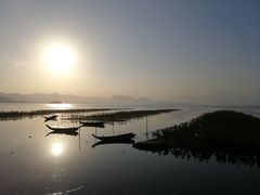 -盐洲岛