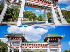 -王借岗森林公园