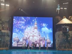 -芜湖新华联大白鲸海洋公园