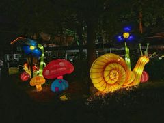 夜晚-锦江乐园舞狸花花游园会(夜场专享)