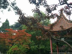 -陕西师范大学(雁塔校区)