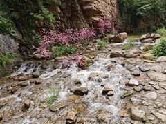 -湖洞水自然风景区